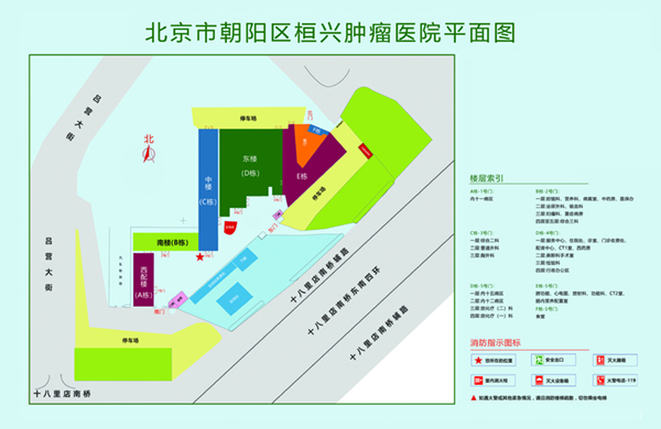 爆艹骚逼视频北京市朝阳区桓兴肿瘤医院平面图